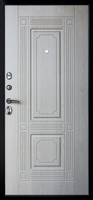 Стальная дверь Викинг